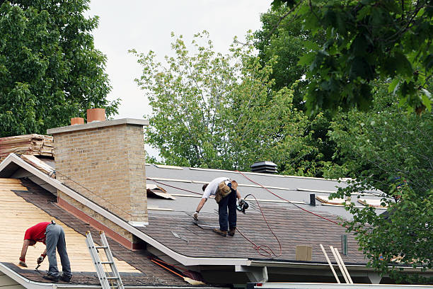 Roof Waterproofing Services in International Falls, MN