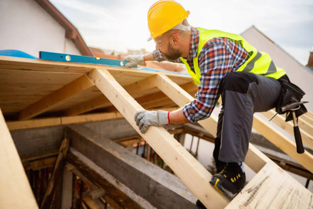 Best Roof Restoration Services  in International Falls, MN