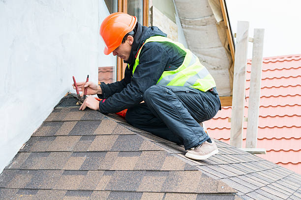 Best Emergency Roof Repair  in International Falls, MN