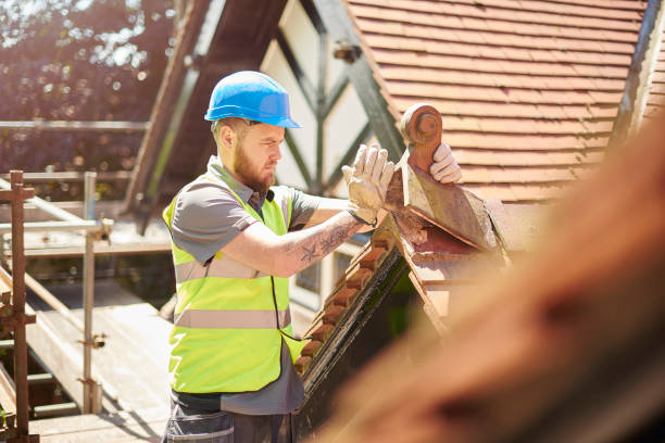 Best Roof Repair Services  in International Falls, MN