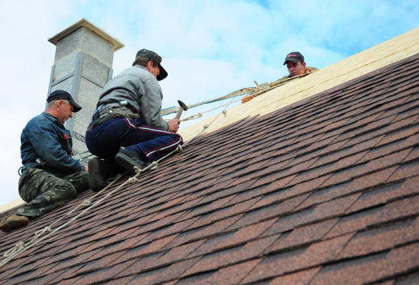Best Commercial Roofing Services  in International Falls, MN