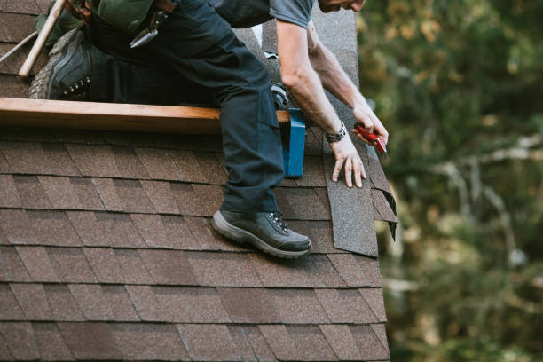 Trusted International Falls, MN Roofing Contractor Experts