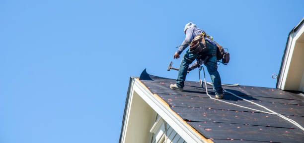 Best Residential Roofing Contractor  in International Falls, MN