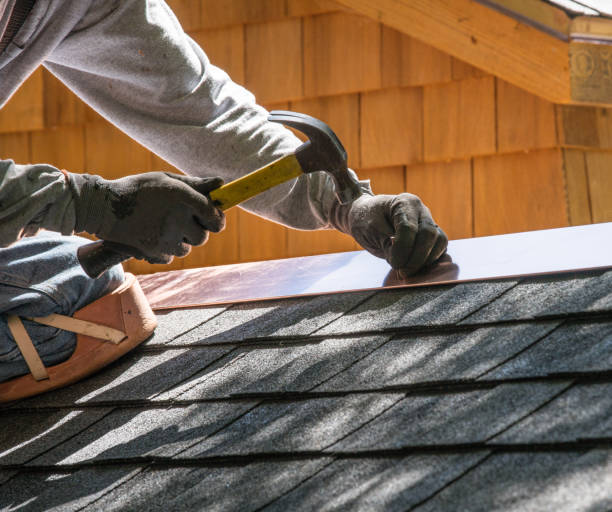 Best Roof Gutter Cleaning  in International Falls, MN